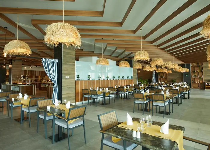 酒店 Secrets Sunny And (adults Only)